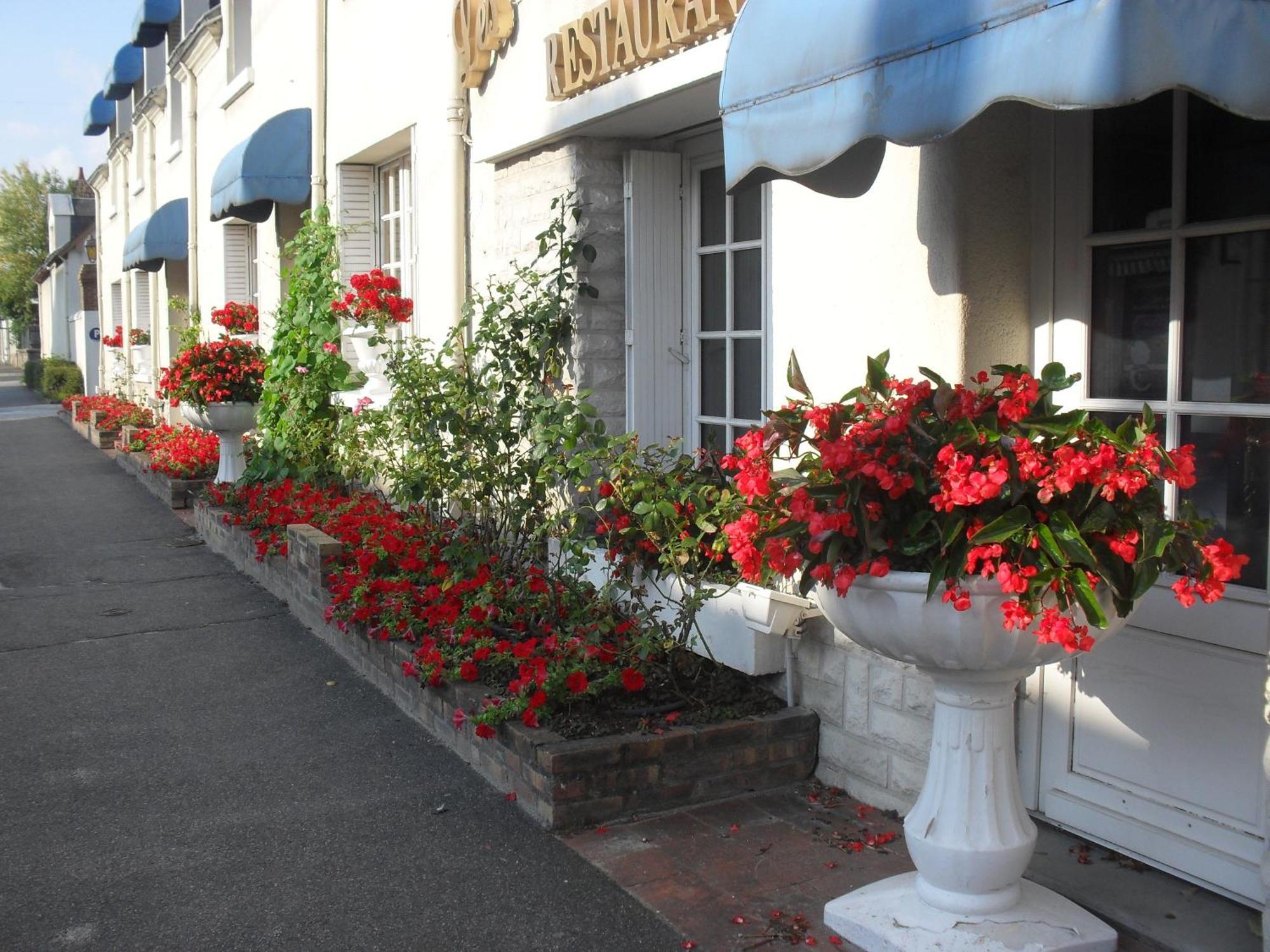 Contact Hotel De France Contres-Beauval-Cheverny Le Controis-en-Sologne Kültér fotó